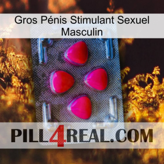 Gros Pénis Stimulant Sexuel Masculin 13